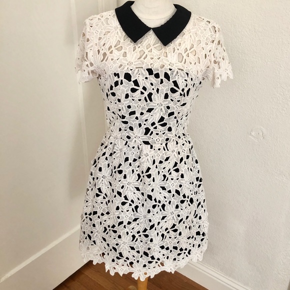 EUC Aqua Capsule Lace Dress w/Collar Size M - Picture 2 of 5